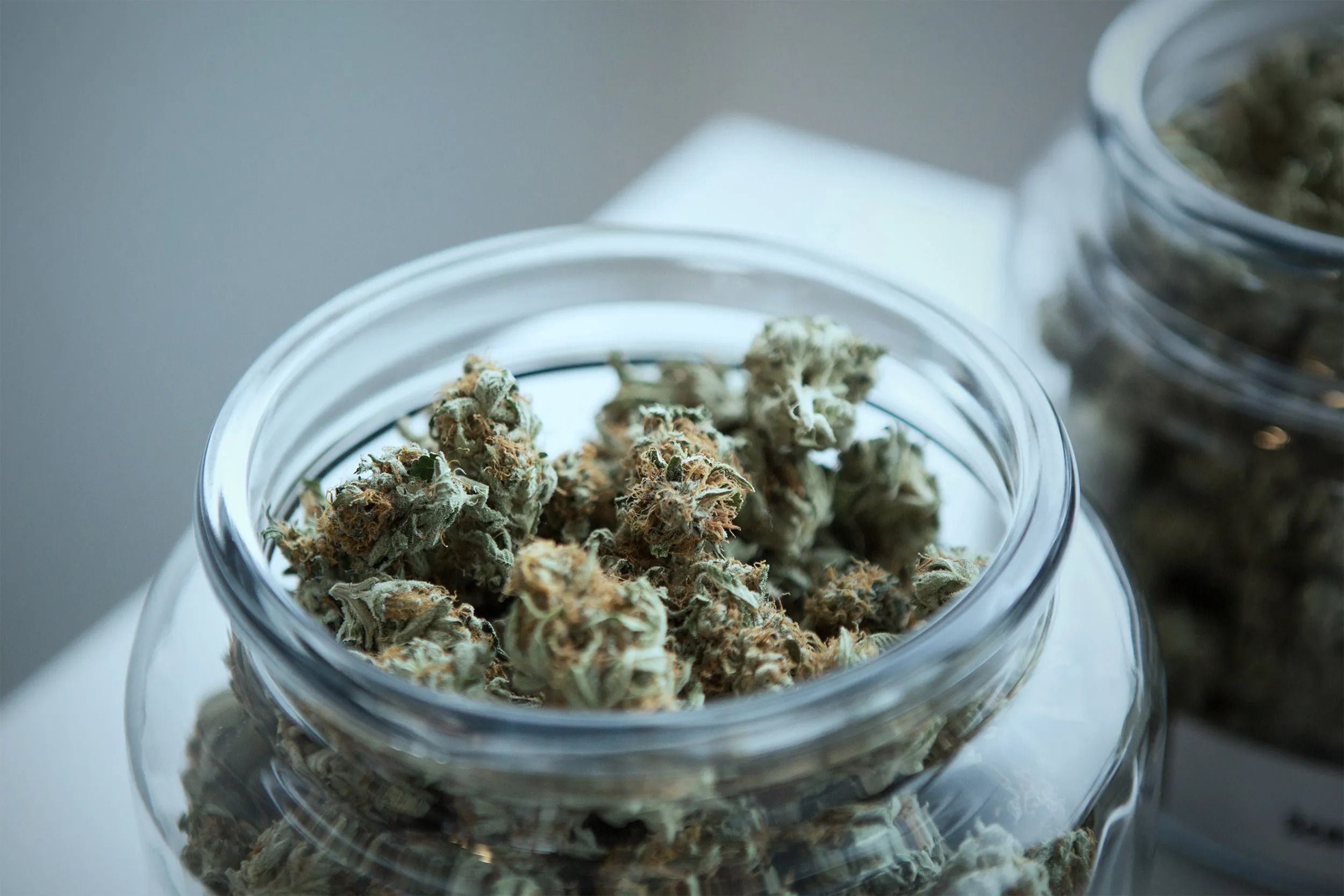 Experience the Benefits of premium delta 8 flower with Trusted Reviews